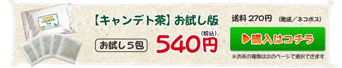 キャンデト茶お試し