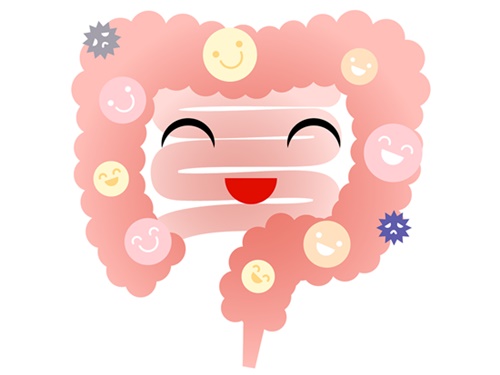 キャンデト茶 評判・効果(腸内環境整備がダイエットへの近道)